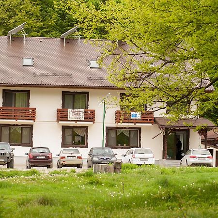 Villa Cabana Barlogul Lupilor Berevoesti Exterior foto